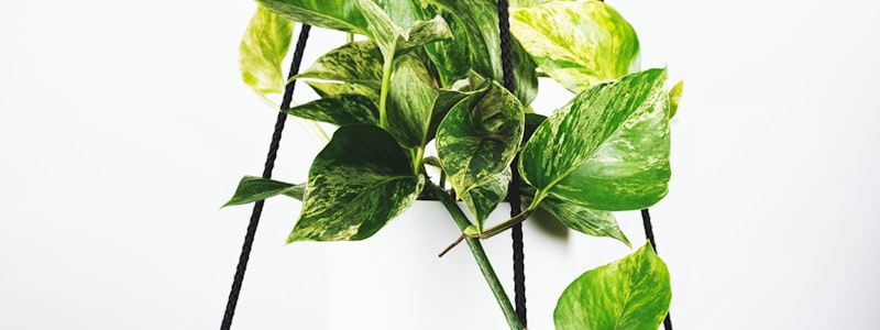 英超联赛积分榜数据分析图表展示